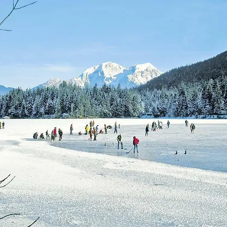 Alpenland - Dal05500-sya